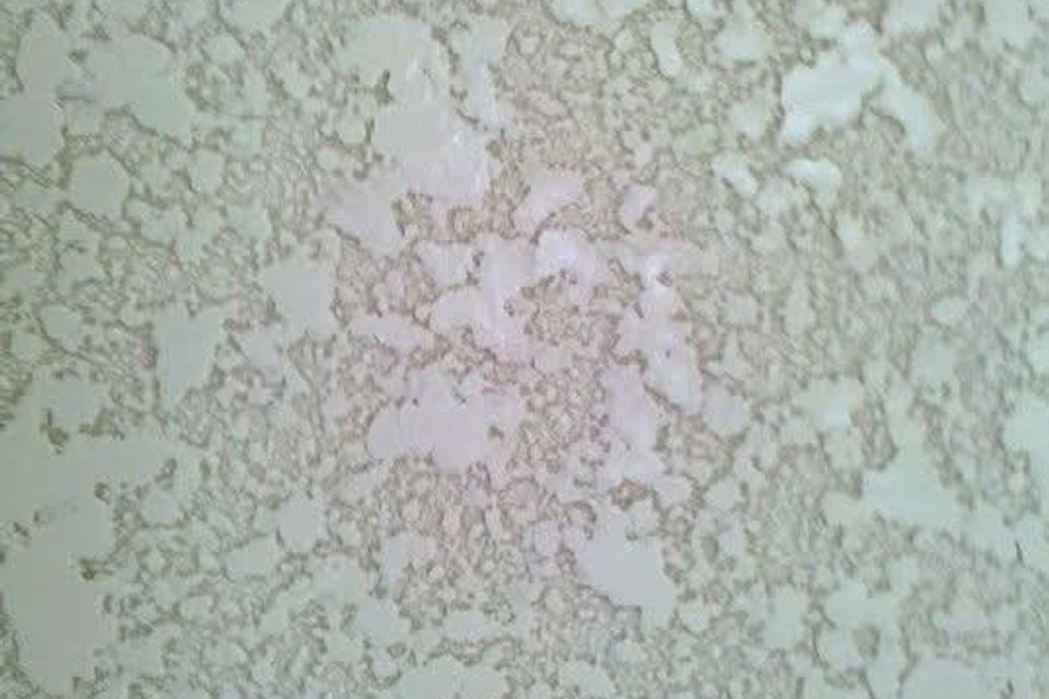 Fb img 1767659947998