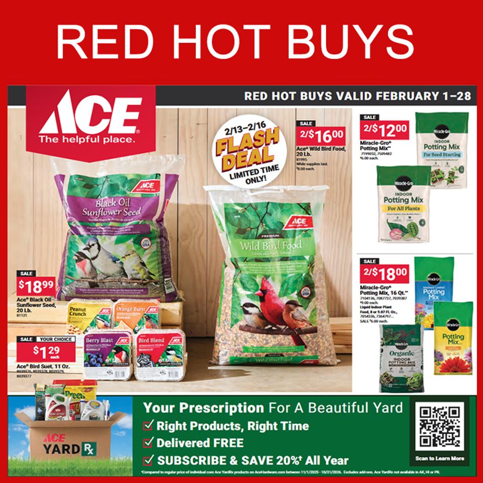 Februaryredhotbuysnew