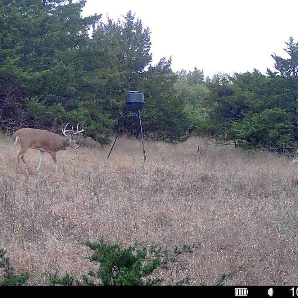 016579002805526 100 2 10292025135046 syfw00381