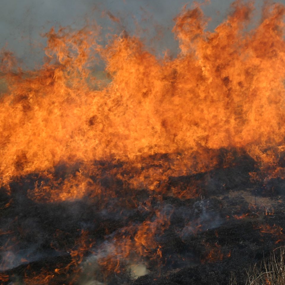 Wildfire 2