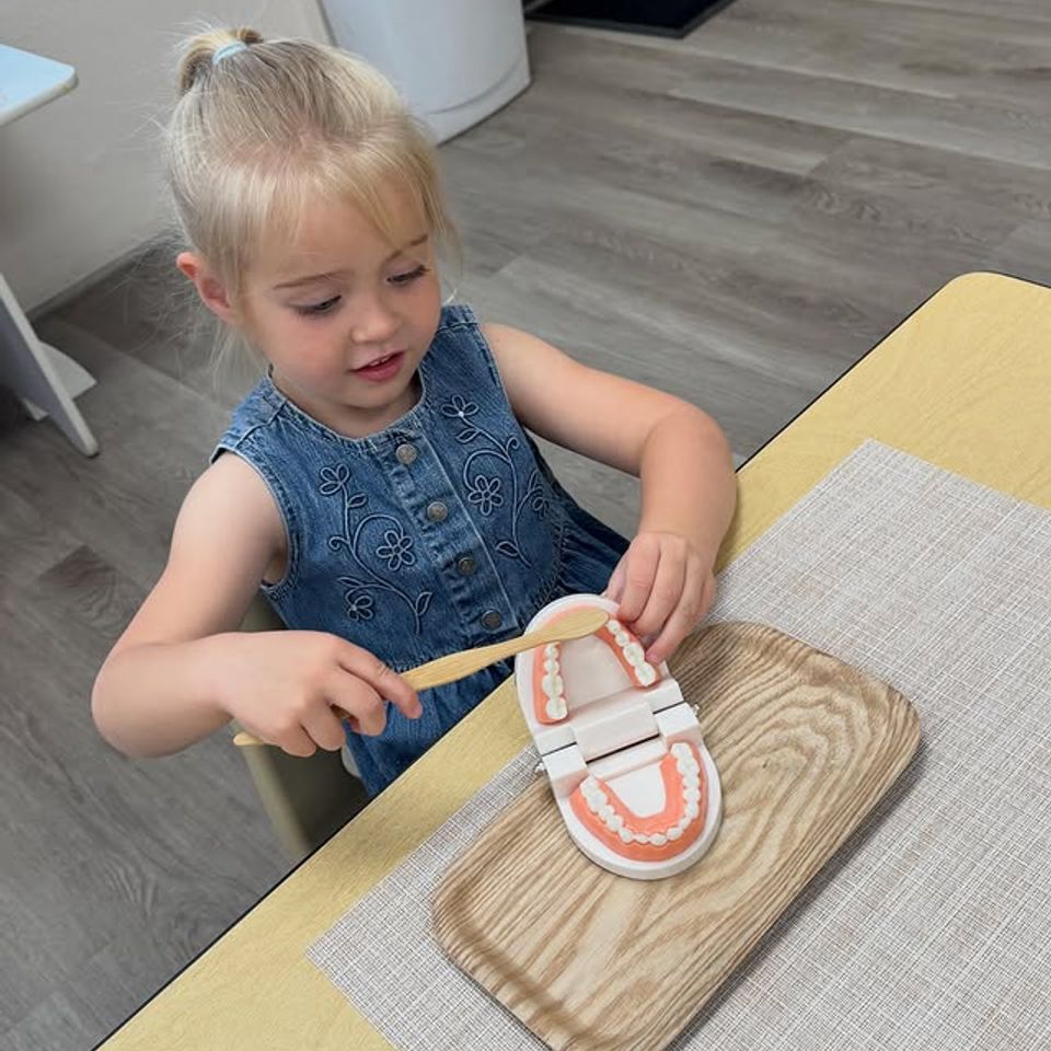 Preschool girl brushing a model of teeth during a Montessori dental hygiene lesson in Palmdale CA