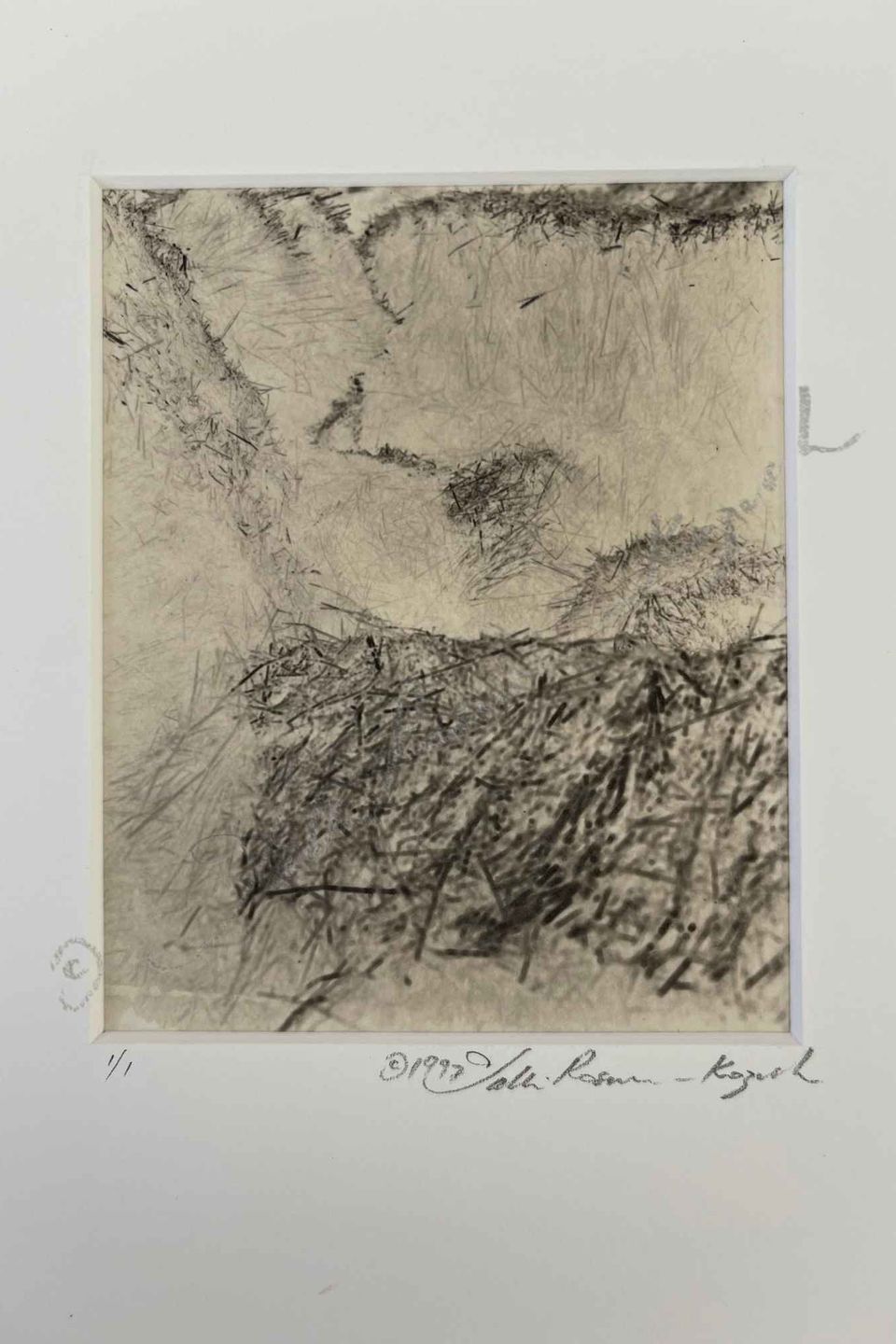 Straw print platinum