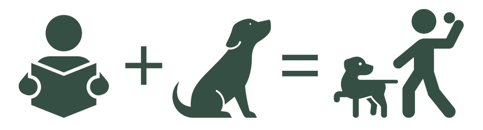 Successfuldogtraining 01