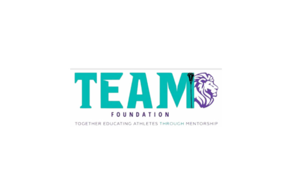 Teamfoundation1