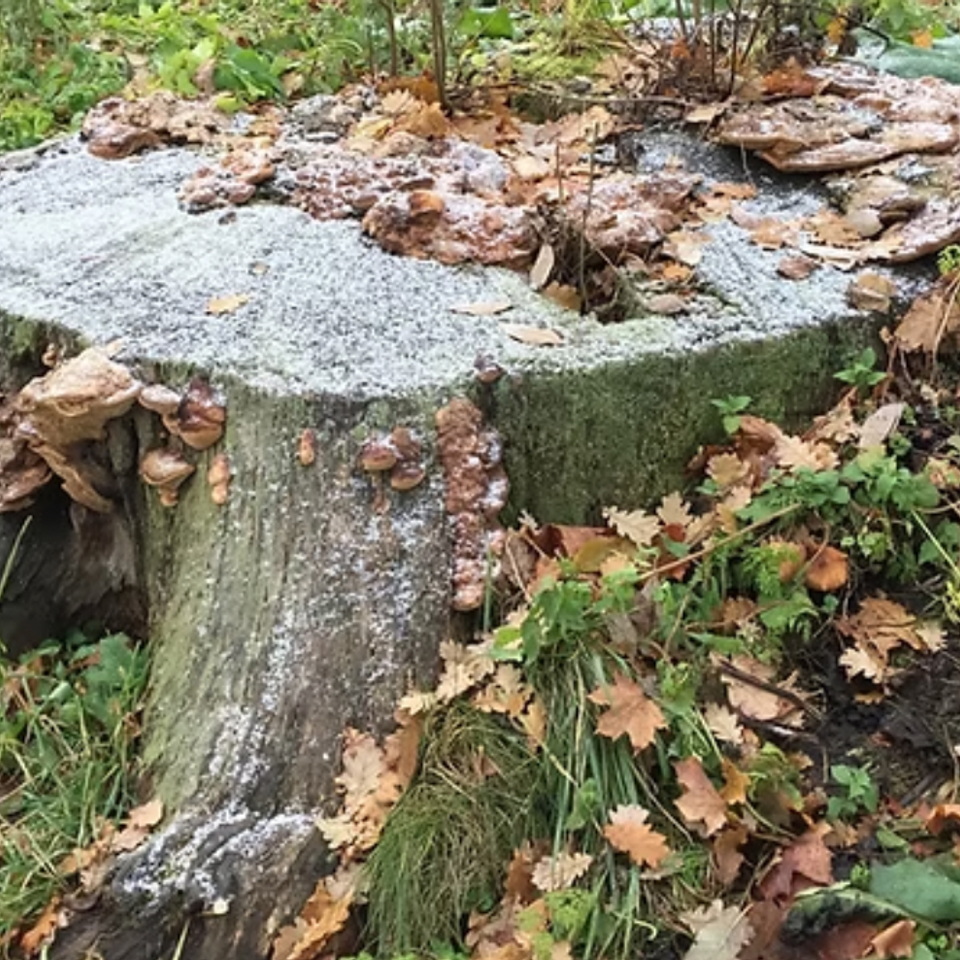 Screen shot 2026 02 27 at 11.01.07 am