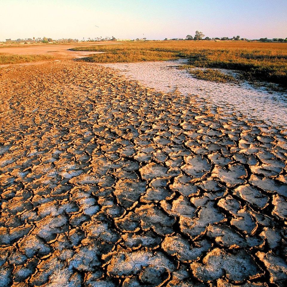 Cracked mudflat20121203 1864 1pxku6u 0