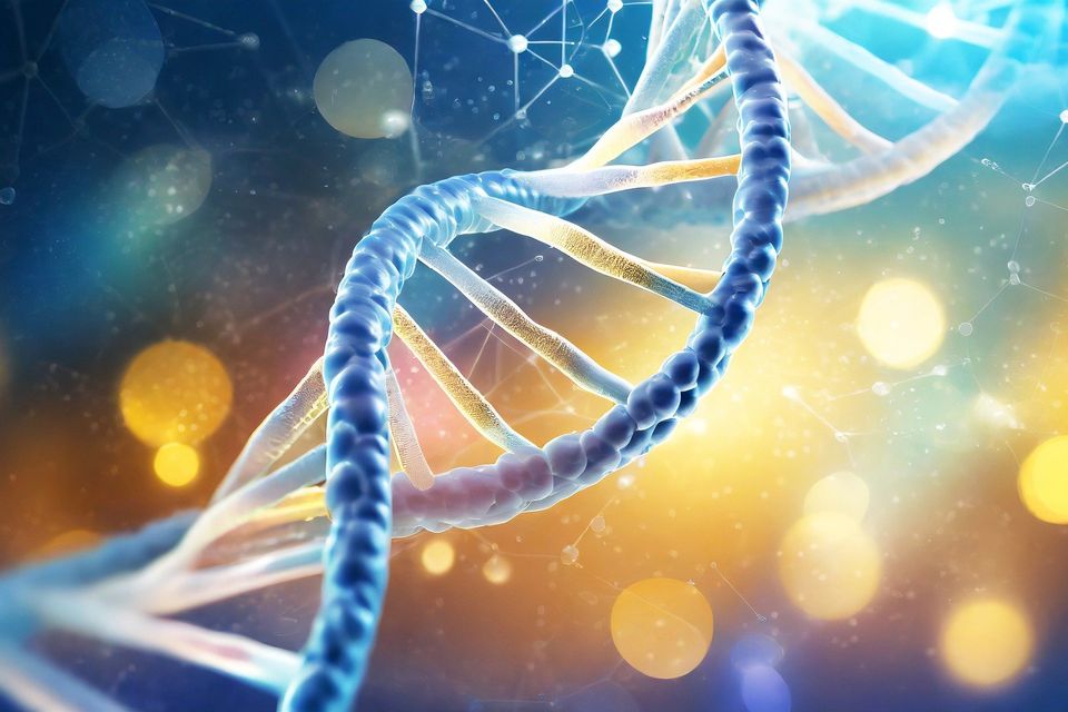 Dna g92fca504f 1920