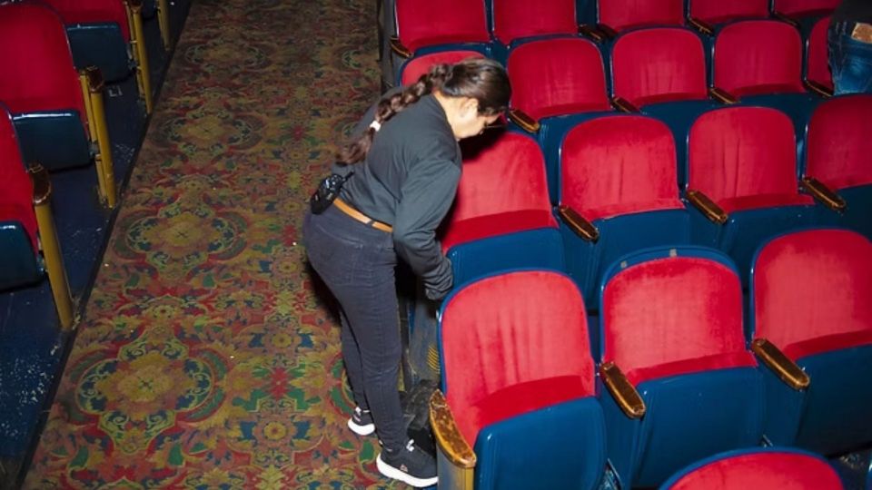 Alvarez cleaning co (11)