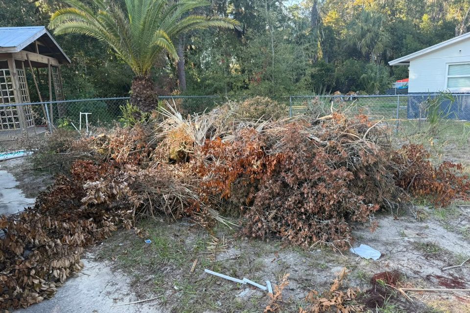 Branches and leaves in a pile, taken care of by JNJ Hauling Solutions of Citrus County