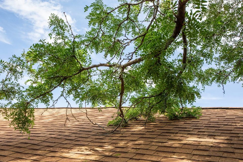 Tree triming roseville