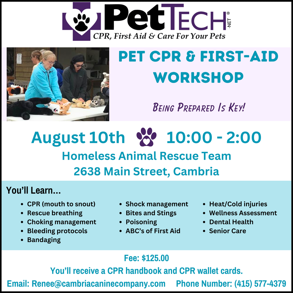 Pet cpr   first aid workshop being prepared is key! learn life saving skills for your k9 or feline companion. this 4 hour class is taught by veteran vet tech renee brittell. it’s super fun and ver (1)