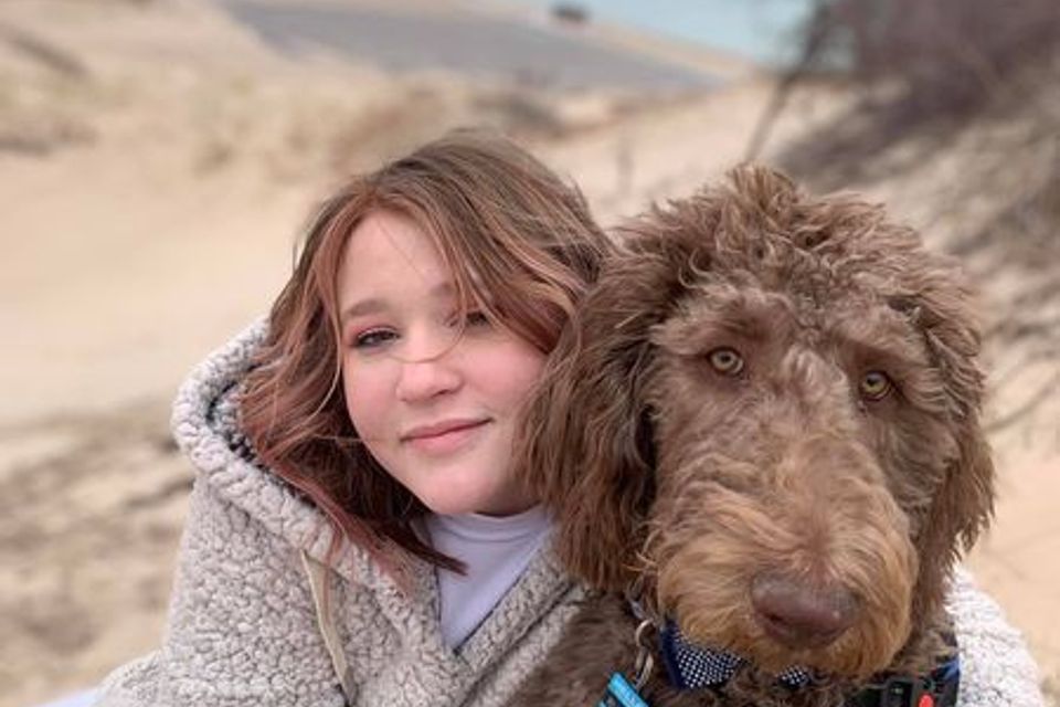 Labradoodle