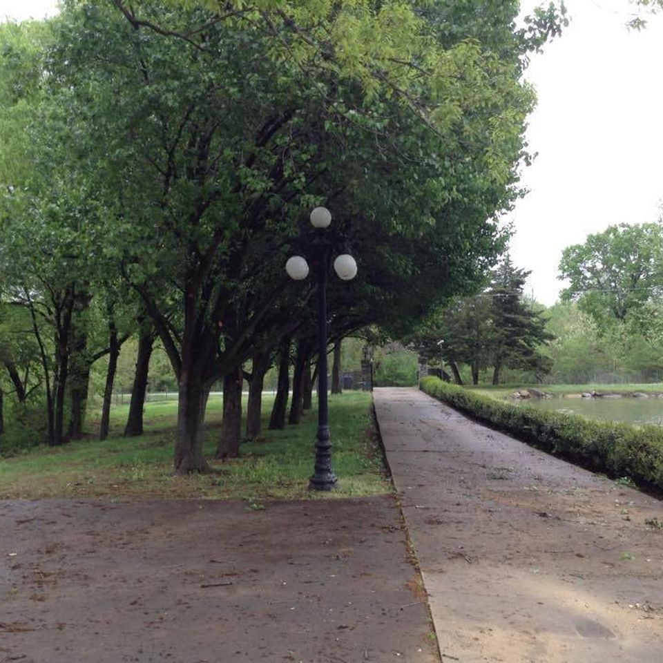 Coulter's tree service   tulsa   shaping and pruning   sidewalk arcade after20170408 15044 1qub5up