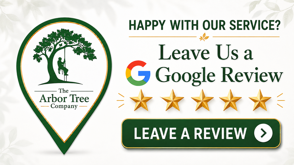 The Arbor Tree Company woodland leave us a google review