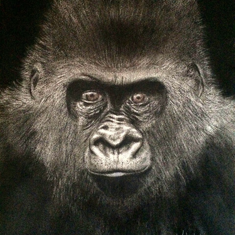 Are You Talking to Me? -  Charcoal (11x14)
