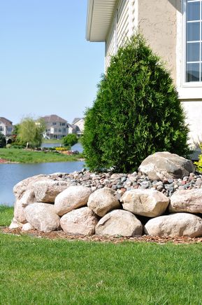 Bigstock stone retaining wall and everg 8326071