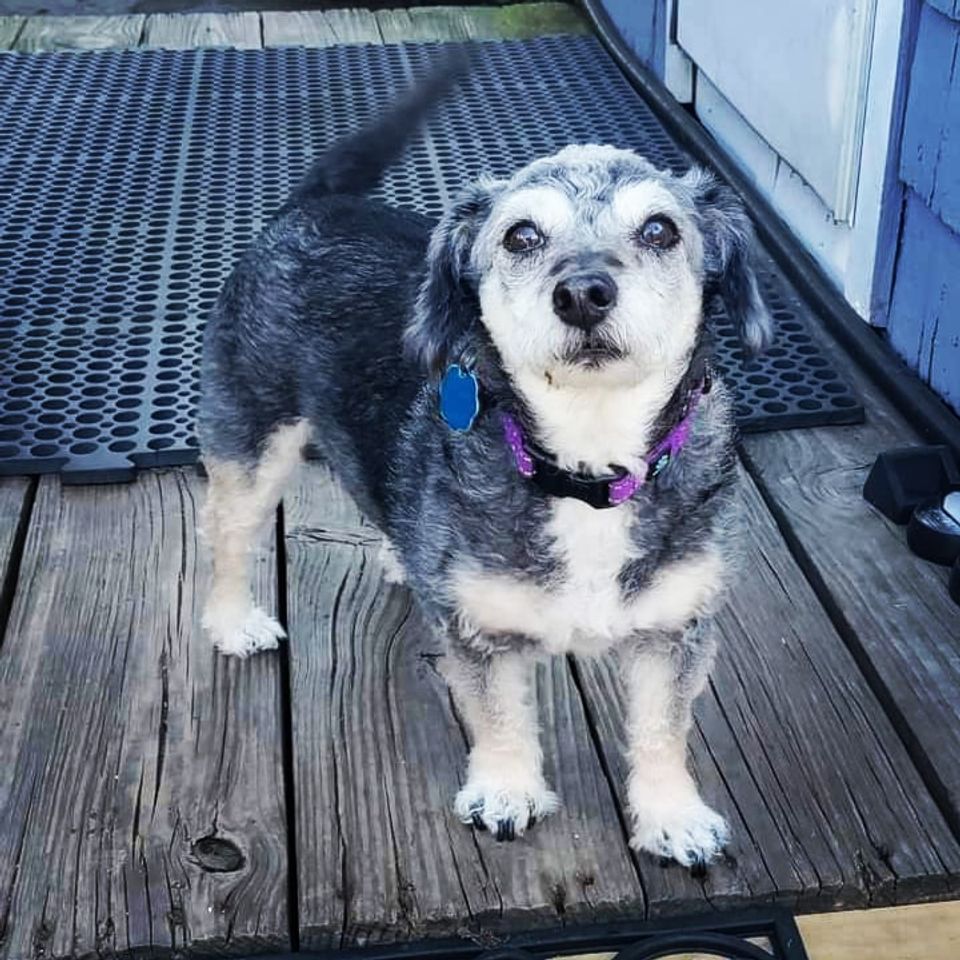 Img 20230903 115207 493