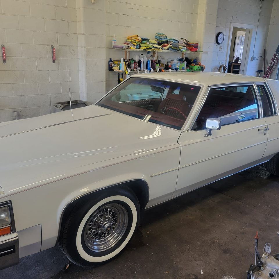 488940424 1265373905593990 35433680574509518 n