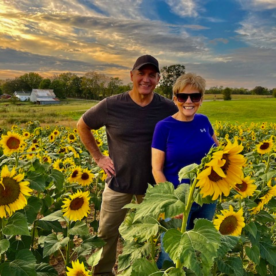 Couple in sunflower patch campbells farm