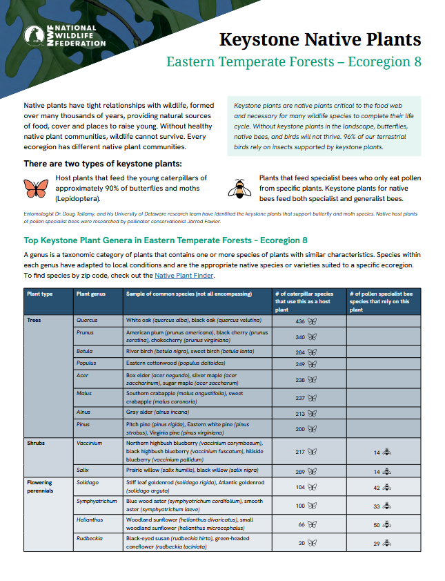 Keystone native plants