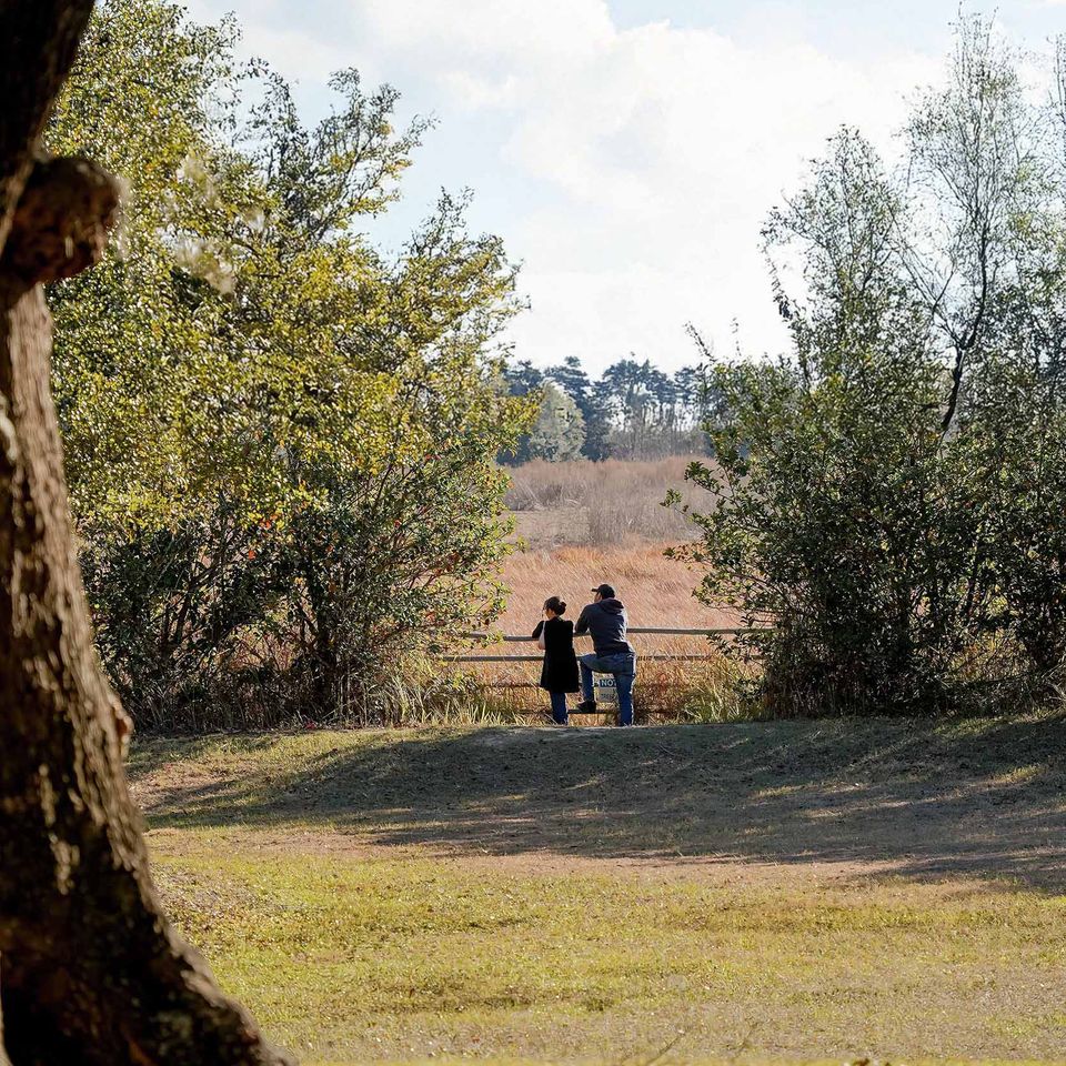 Sholom park couple   website keep