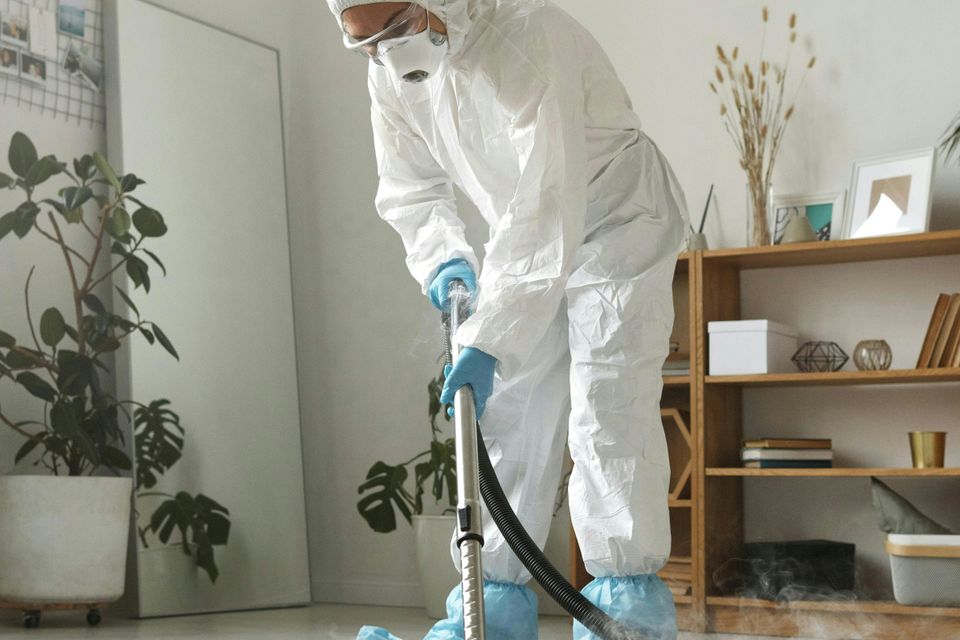 California steam dry carpet cleaning ddzir2tcr2g unsplash