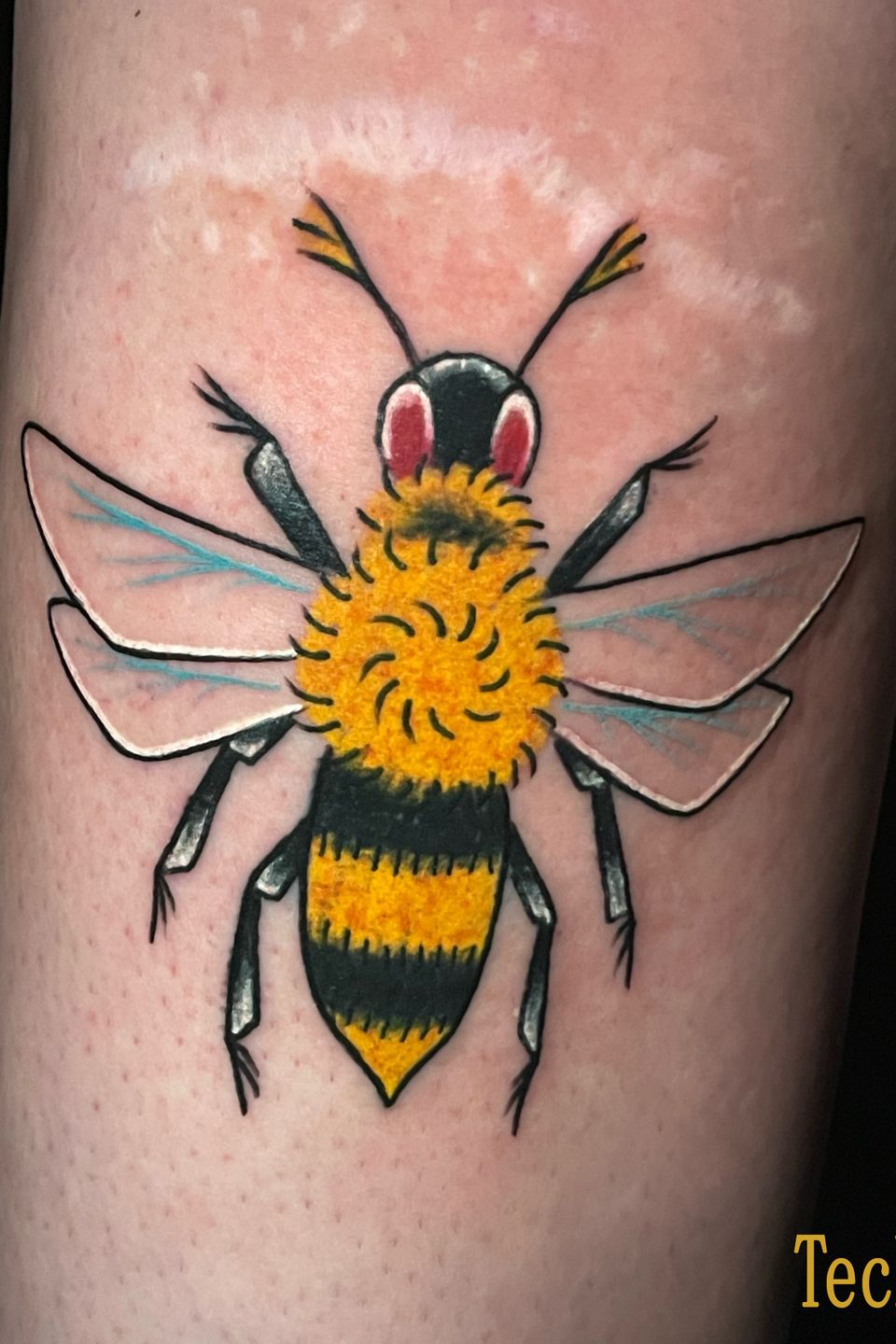Tech bee pic