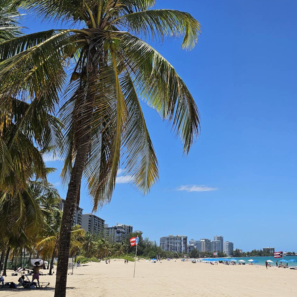 Screenshot 2026 04 28 at 10.33.25 am