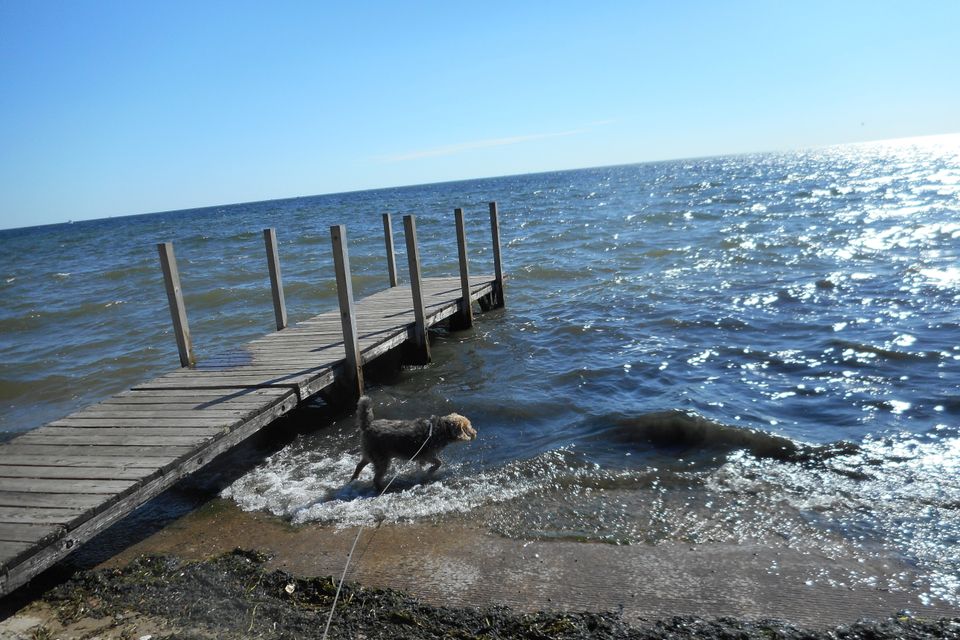 Dscn0246