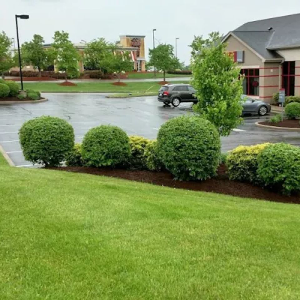 Commercial lawn care columbia sc.jpg