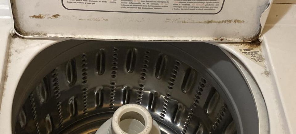 Washing machine   dirty