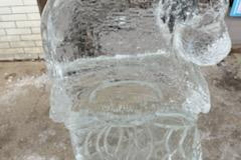 Ice carving 2025 38