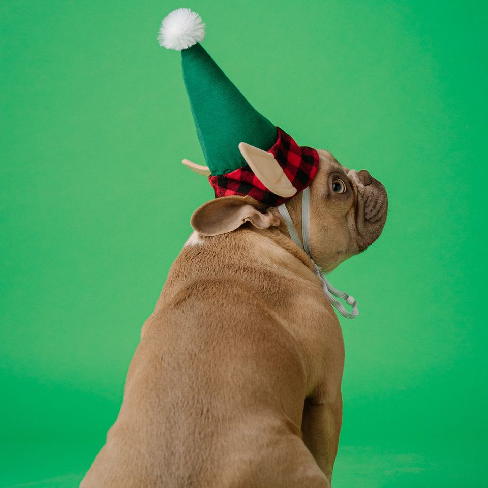 Karsten winegeart w9c6yichkye unsplash