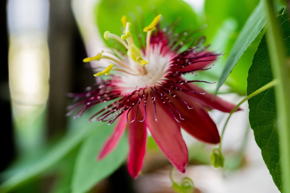 Adobestock 342975352