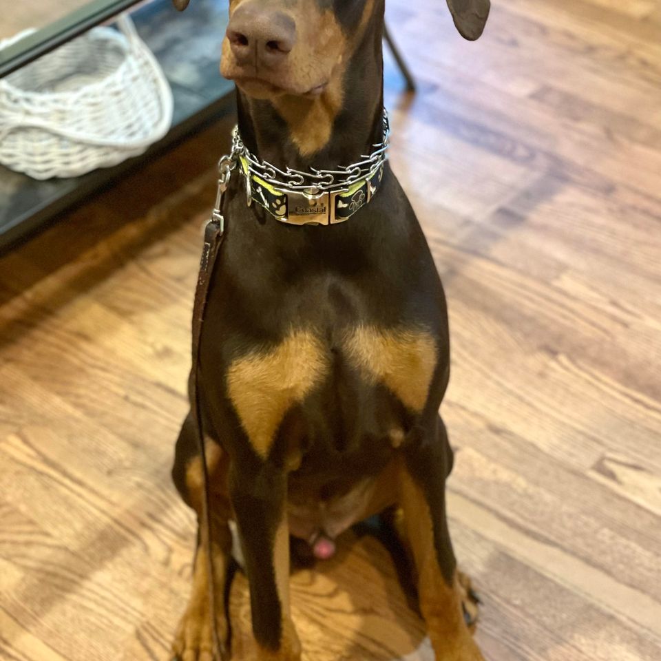 Copper