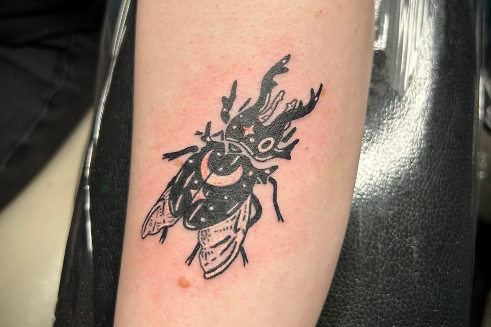 Img 0165