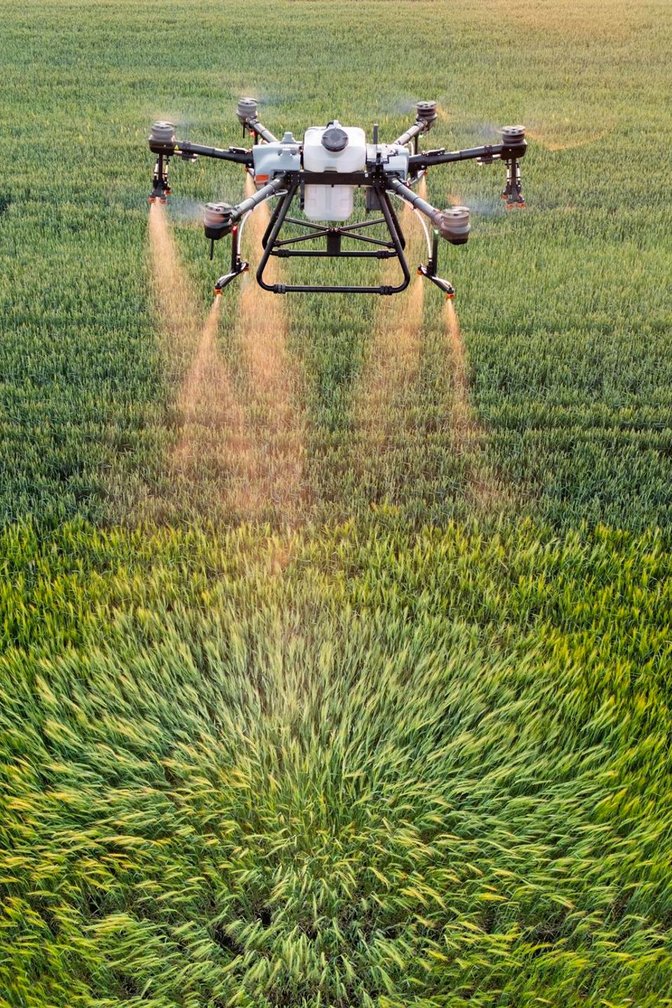 Drone Spraying Services