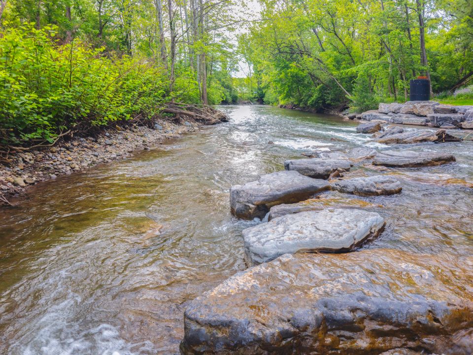 Sauquoit Creek in upstate New York 