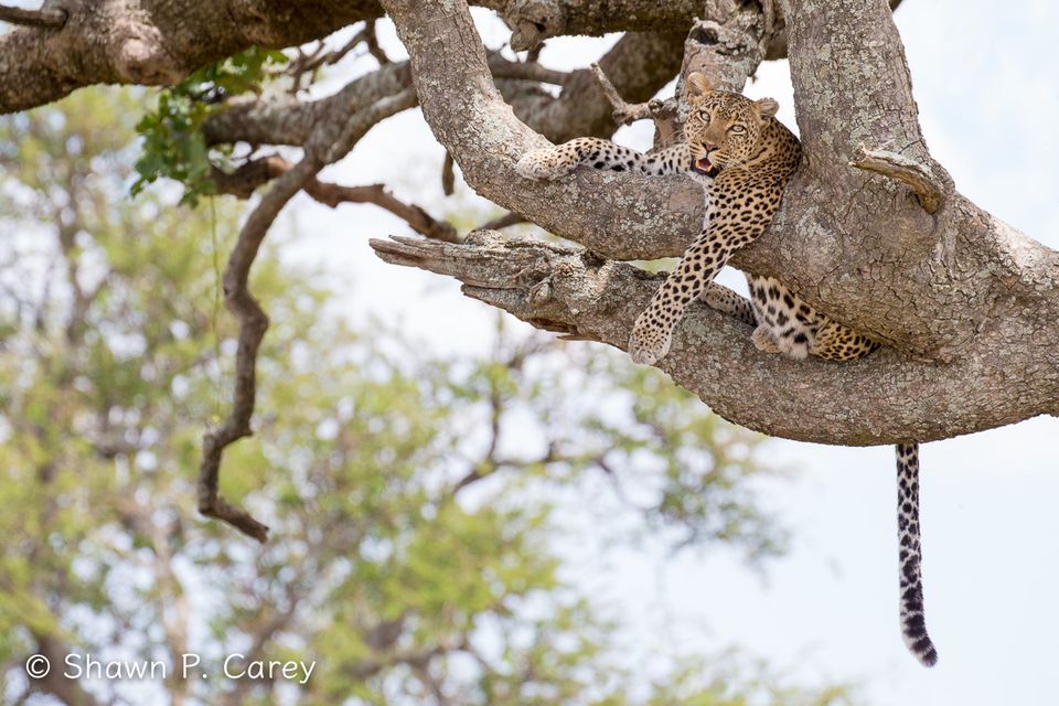 Tanzania6