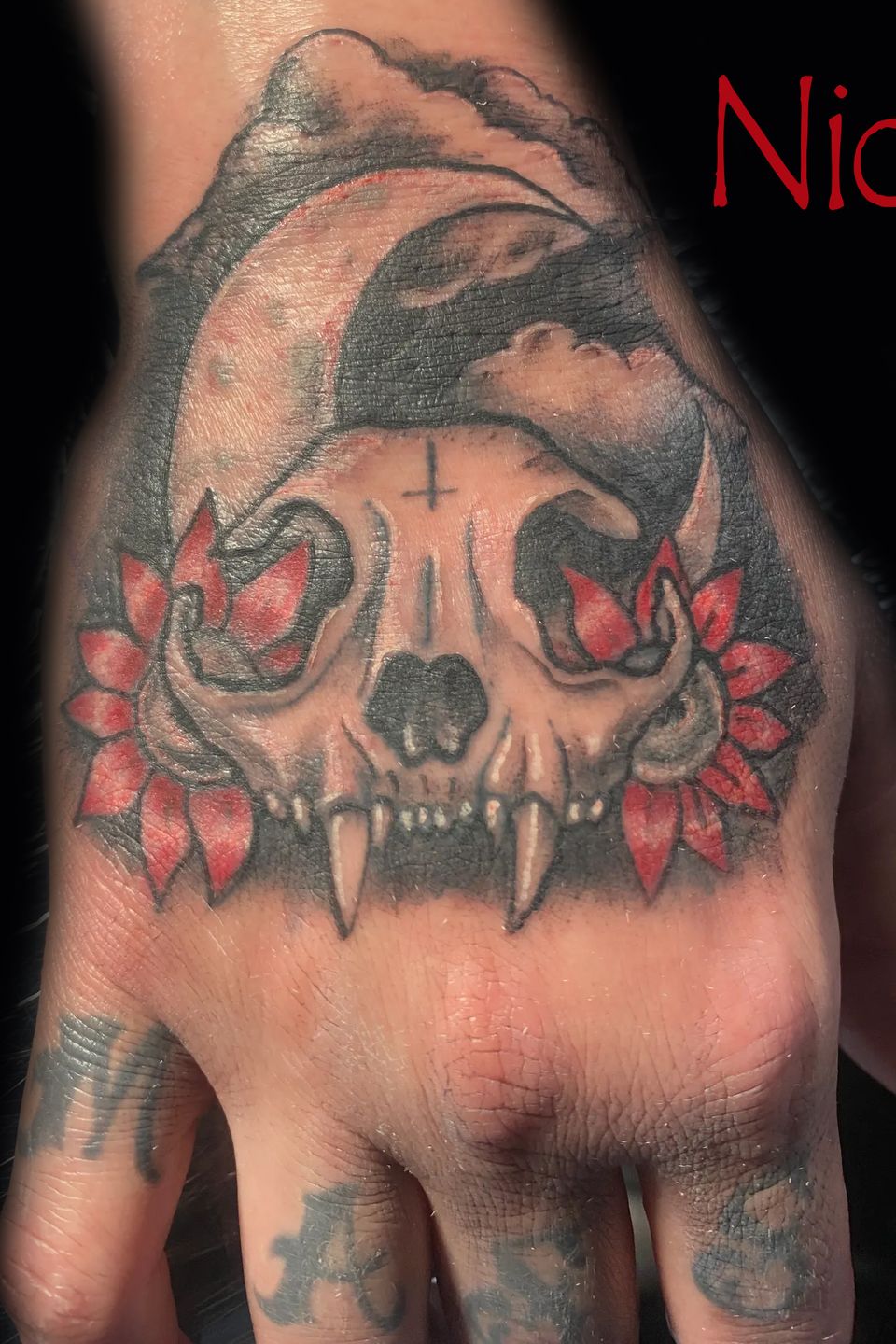 Nick cat skull