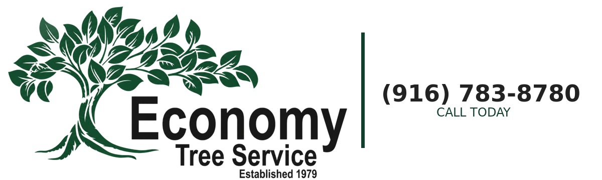 Economy Tree Service Inc
