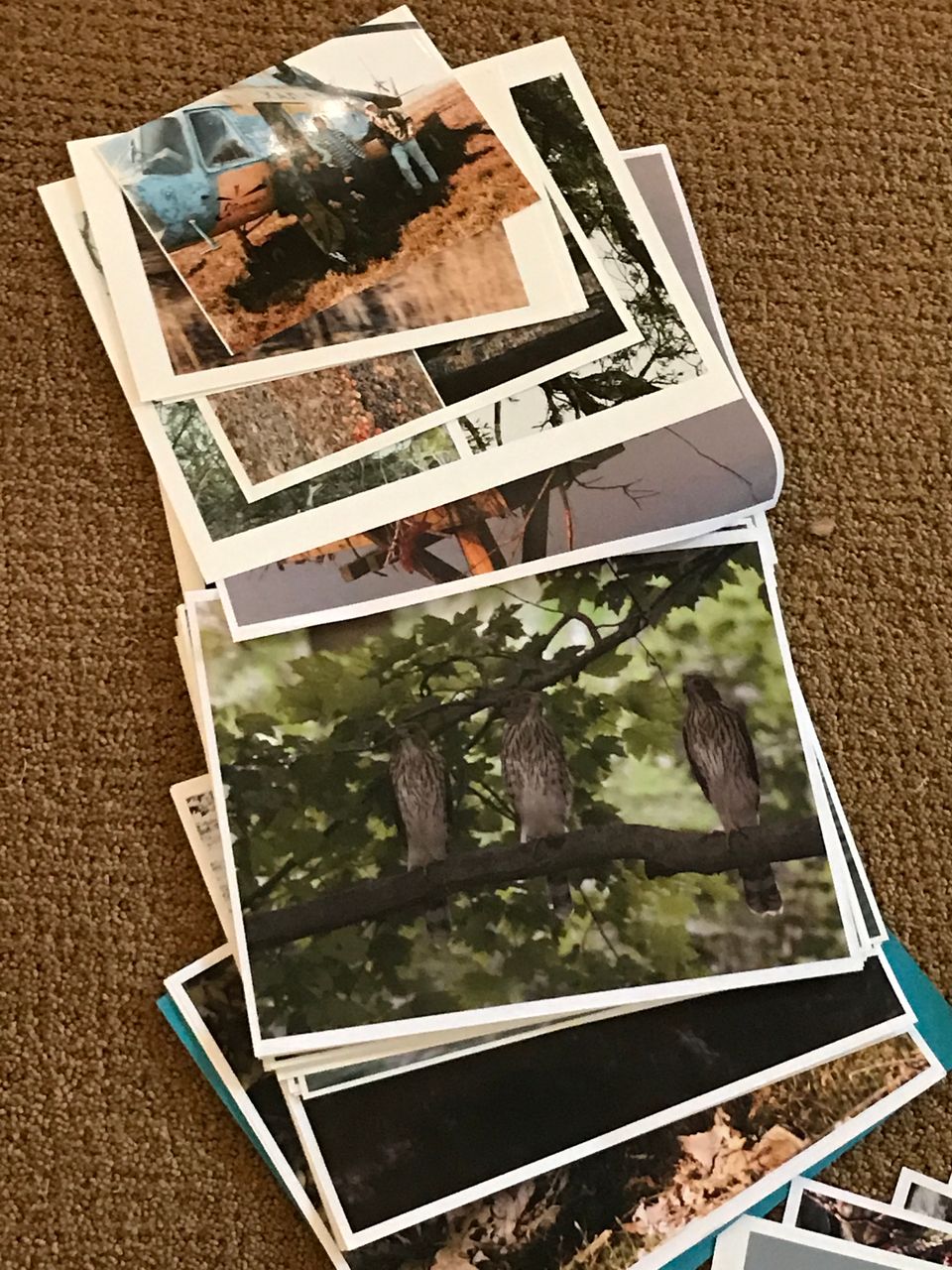 Img 0651