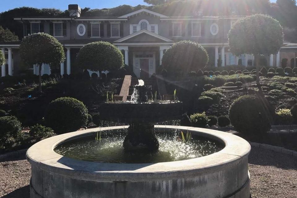 Img 1652