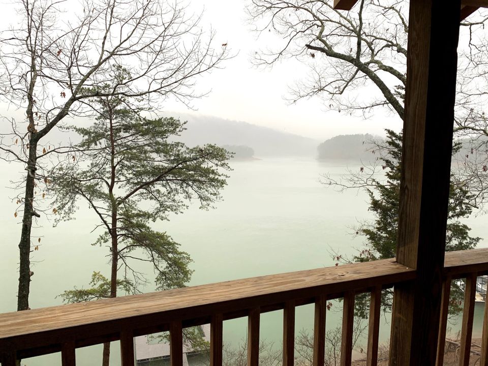 Rain view