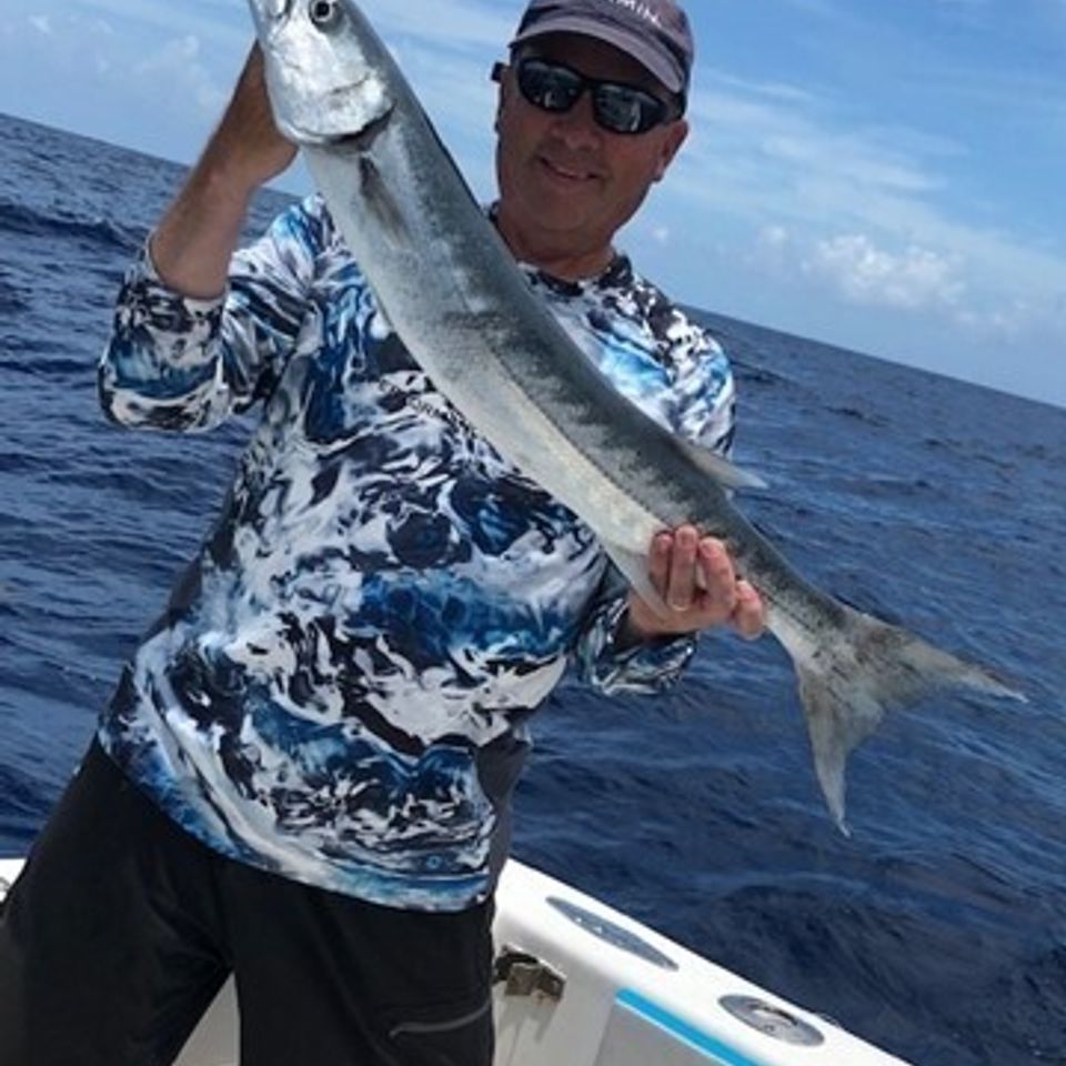 Baracuda2