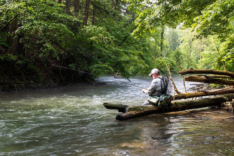 A fisherman ties a fly on along a wild trout stream.