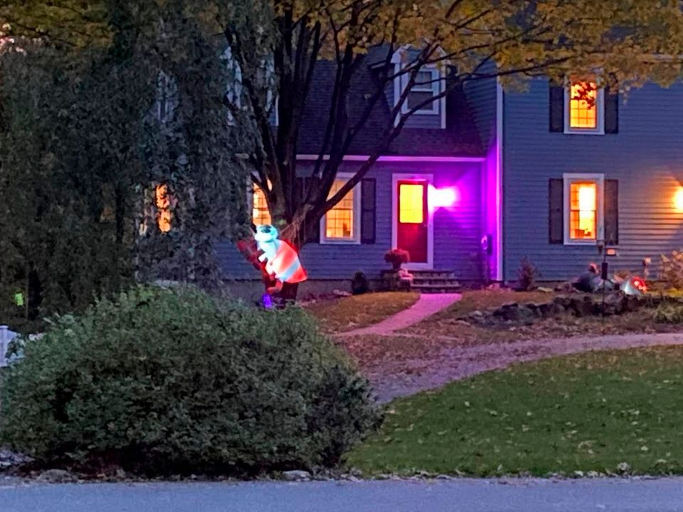 Purplelights