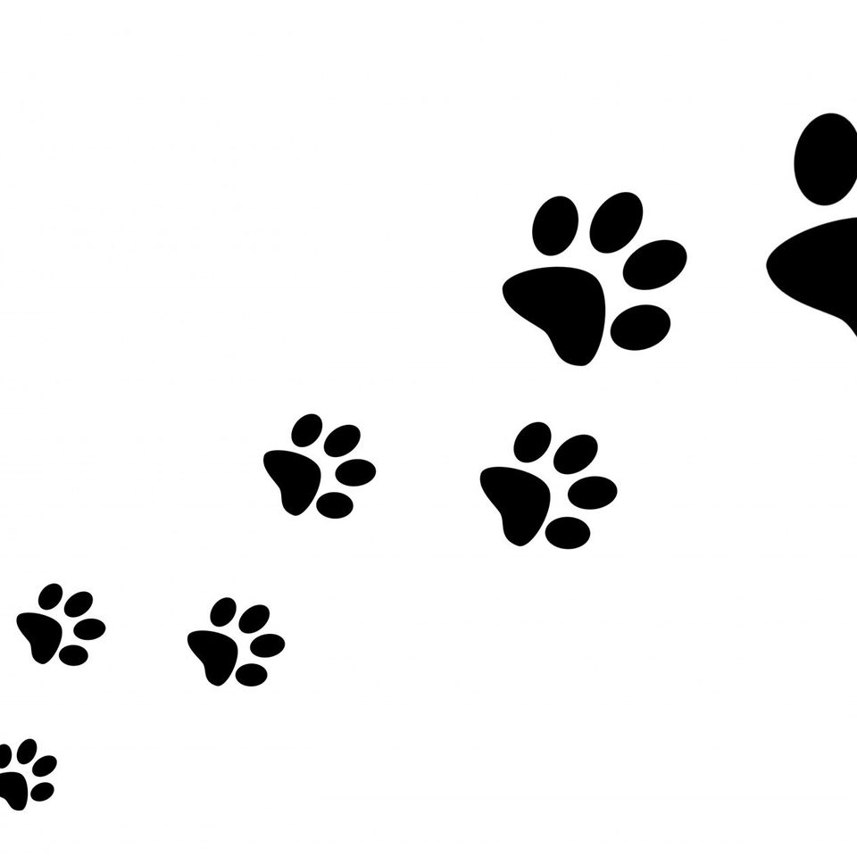 Paw prints