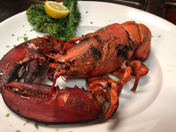 Cg 19 maine lobster