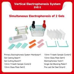 Vertical electrophoresis system be sve 2 1